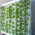 Vertical Farming- Edinburgh Sensors - Vertical Farms