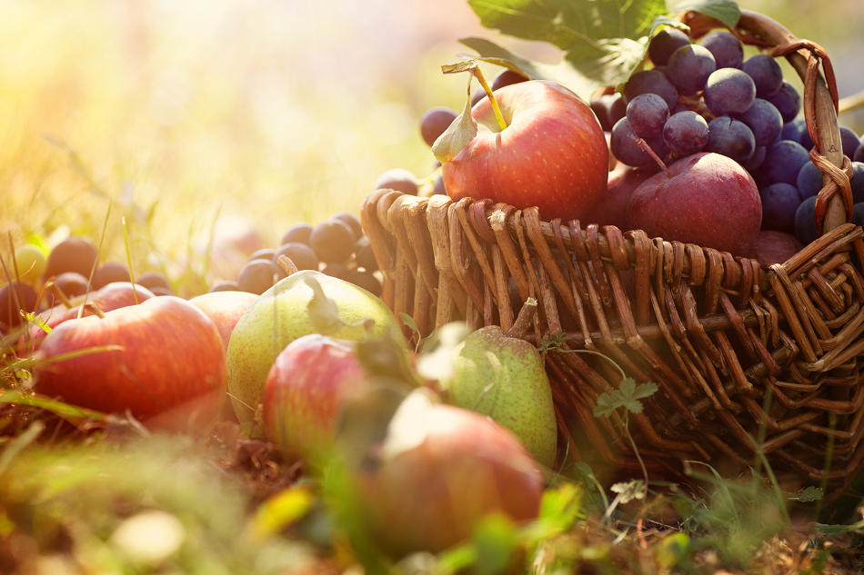 Ripe fruit on sale