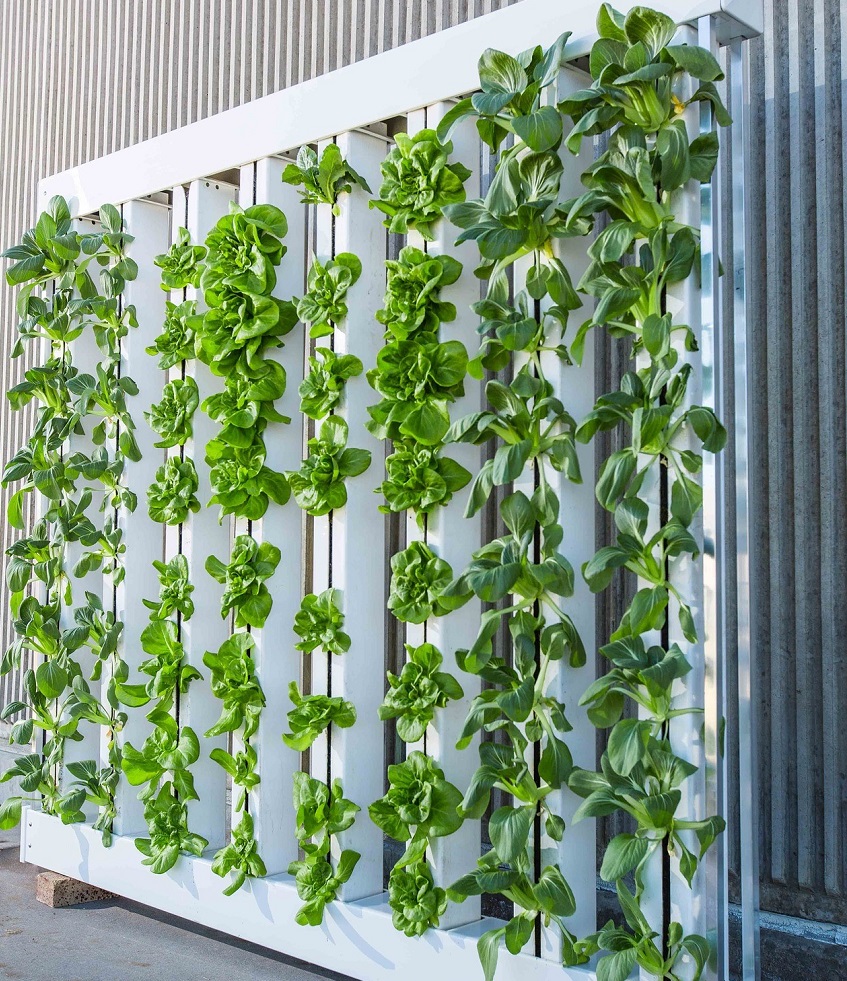 vertical farming technology - agriculture sensors