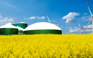 biogas methane monitoring