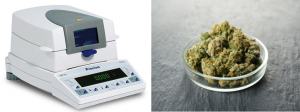 measure moisture content in medical marijuana