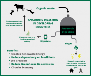 Anaerobic digestion process and the benefits to households in developing countries. 