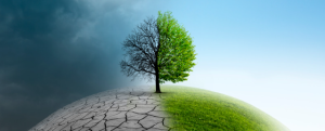 Nitrous oxide side effects impact human health and the earths environment. Nitrous oxide is a key contributor to climate change issues.