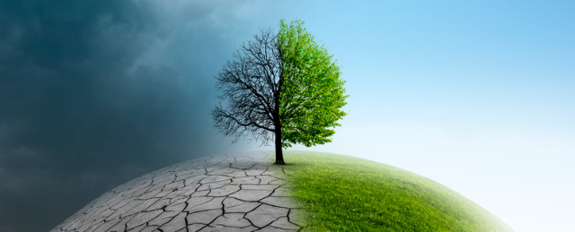 image showing a tree and planet divided in two: one half is grey and barren with a polluted sky. The other half shows grass on the ground, a tree in full bloom and a blue sky. 